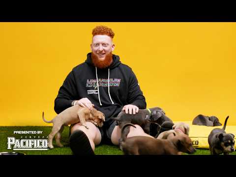 NFL Player Does Interview With Puppies | LA Chargers
