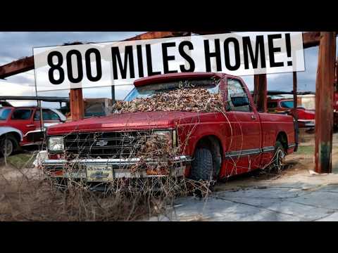 ABANDONED Chevy S10 Revived in Junkyard | Will It RUN AND DRIVE 800 Miles Home? | RESTORED