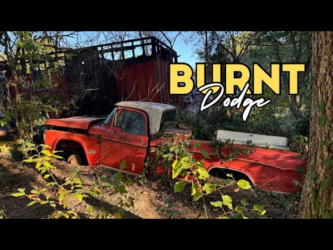 Pulling an Old Dodge out of BRUSH - Will it Run?