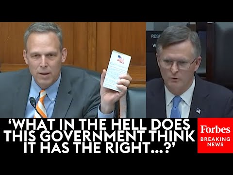Scott Perry Confronts Witnesses With Copy Of Constitution: 'Who Are These People?'