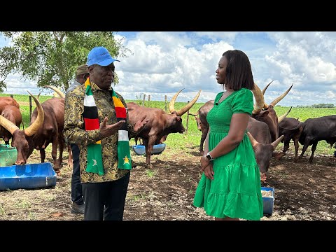 LIVESTOCK PRODUCTION WITH THE PRESIDENT of the REPLUBLIC OF ZIMBABWE DR ED MNANGAGWA