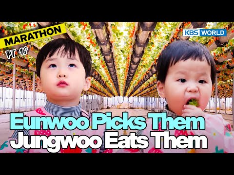 [1HR] 🥰HoWoo😍 Marathon😂 Pt.16🤭 [The Return of Superman] | KBS WORLD TV