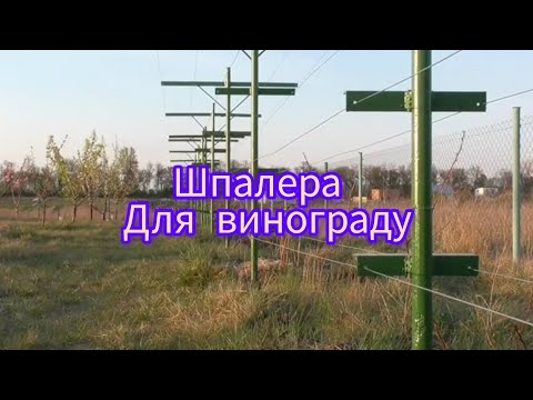 Зручна шпалера для винограду | Двоплощинна конструкція своїми руками.