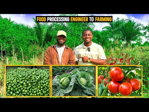 Why He Quit His Job as a Food Processing Engineer To Start His 7 Acre Vegetable Farm in Ghana.