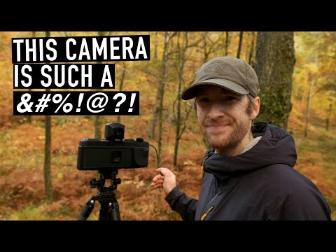 Autumn Photography on Film Ends in Disaster :(