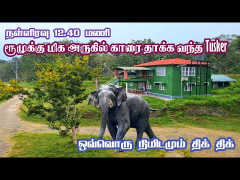 🦣🦣 Heartbreaking Elephant Encounter Midnight at Abhayaranyam Rest House 🔥🔥| Jolly Trip