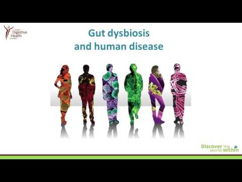 Introducing the Human Gut Microbiota