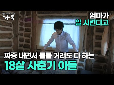 [다큐 ‘가족’ 48회 3부] 엄마가 일 시킨다고 짜증 내면서 툴툴 거려도 다 하는 18살 사춘기 아들
