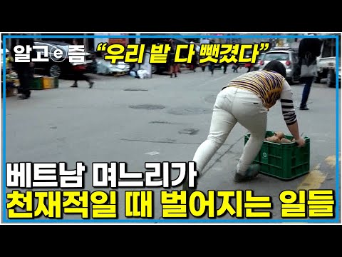 "이러다 금방 부자되겠네" 한국에 시집 온 베트남 며느리가 아주 복덩이일 때 ｜다문화 고부 열전｜알고e즘