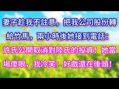 【完结】妻子趁我不註意,把我公司股份轉給竹馬,兩小時後她接到電話:「許氏公開取消對陸氏的投資!」她當場傻眼,我冷笑:「好戲還在後頭!」