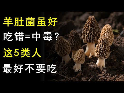 羊肚菌的功效和作用，这样吃最有营养！食用禁忌需注意，这5类人不能吃