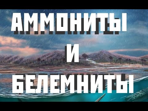 Аммониты и белемниты | Александр Ипатов