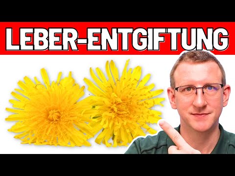 Leber Entgiftung -  die 3 BESTEN Nahrungsergänzungsmittel!