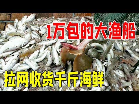 For 15000 yuan, I chartered a million-class large fishing boat to go out to sea and harvested 1000
