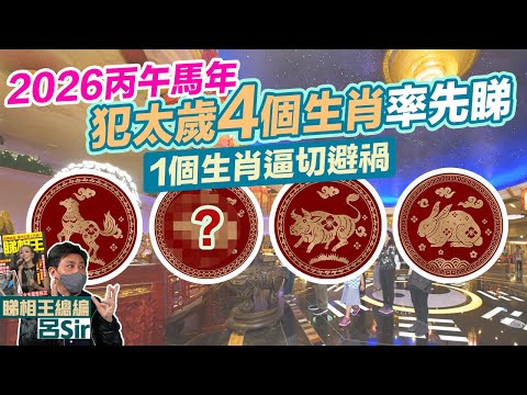 2026十二生肖犯太歲 附繁簡字幕｜率先睇丙午馬年4大生肖 全年不能做XX！1個生肖逼切避禍超伏！屬鼠沖太歲 屬兔破太歲 屬牛害太歲 馬年預測 #生肖運勢2026攝太歲【囍趣睇相王EP156】風水佈局