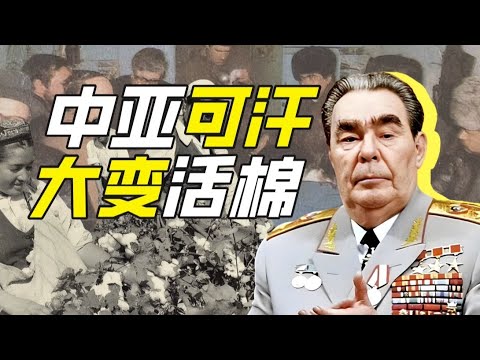 績效人如何種棉花？－神奇組織42【小約翰可汗】