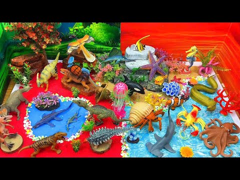 Explore & Learn with Dinosaurs and Sea Animals π¦π¬Diorama