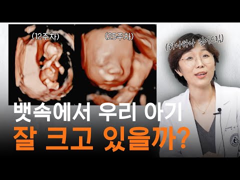 (실제상황) 자궁 내 태아 성장과정 초음파 영상, 산부인과 의사가 직접 보여드림