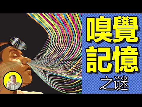 嗅覺記憶是什麼？你有沒有聞到過一瞬間的『童年記憶』？原來，談戀愛也要靠聞，人類被鼻子裡的神秘器官控製一生……｜總裁聊聊