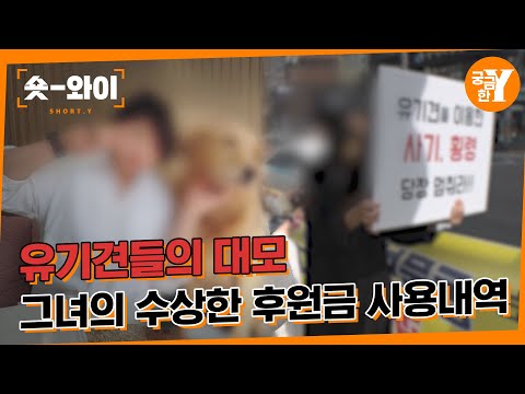 [Y 677회 요약] 유기견 대모로 불린 그녀의 수상한 결제 내역 | 숏와이