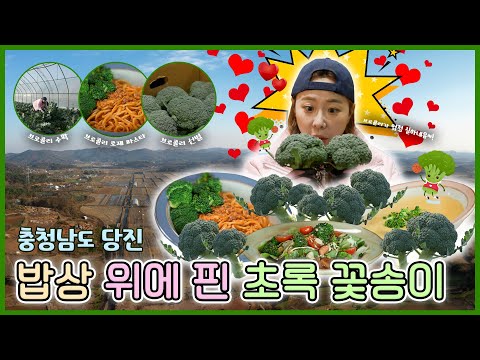 밥상 위에 핀 초록 꽃송이 [6시N내고향] / KBS 방송
