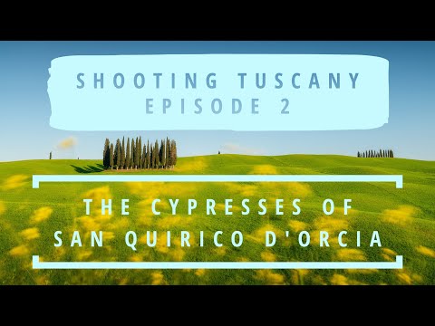 CYPRESSES OF SAN QUIRICO D'ORCIA | Episode 2 | SHOOTING TUSCANY (SUB ENG/ITA) | Leo's Photo Guides