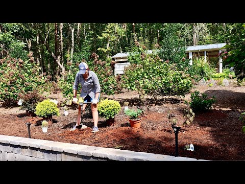 Colorful Year Round Landscaping at the Terraced Garden