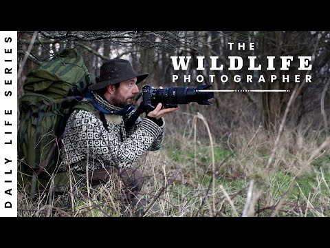 On This Island Nature Is Left Alone