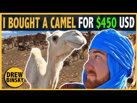 I Bought a Camel & Gave it to a Village (emotional)