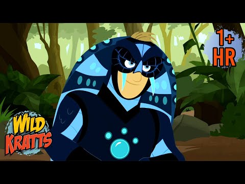 The Kratt Bros Vs a King Cobra | Creature Combat | Animals for Kids | Wild Kratts