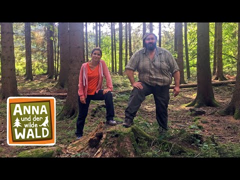 Anna und der wilde Wald | Film