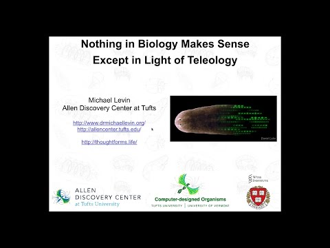 "Nothing in biology makes sense without teleology" by Michael Levin