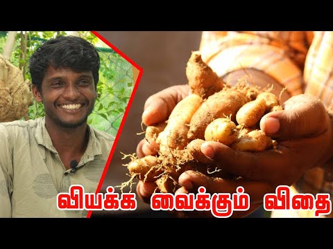 விதைகளை பற்றி தாங்கள் கருத்து? 🥜 விதை என்றால் என்ன? உண் சுந்தர் | uzhuduun sundar | Heirloom Seeds