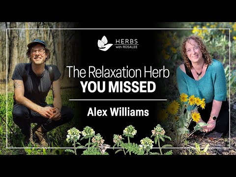 Pedicularis for Deep Muscle Release with Alex Williams