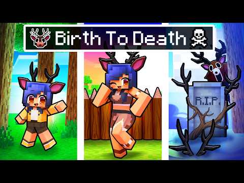 BIRTH to DEATH of the FOREST DEER in Minecraft!