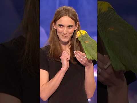 She said โthis is my parrot.โ The parrot said โthis is MY stage.'