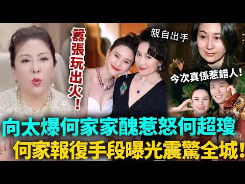 囂張出事！向太為博出位踩爆何家家醜，今次真係惹錯人！何超瓊忍無可忍親自出手，向太點都冇諗過，何家嘅報復竟然會咁狠！#向太 #何超蓮 #港圈日報