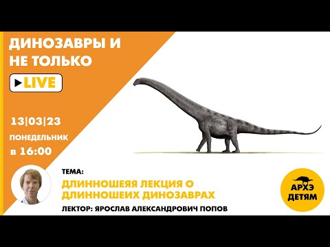 Занятие "Длинношеяя лекция о длинношеих динозаврах" кружка Динозавры и не только с Ярославом Поповым