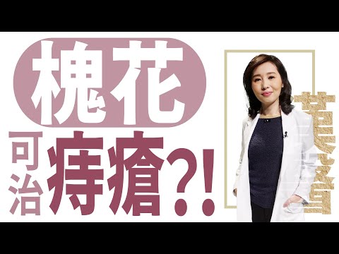 【大愛學漢醫】 槐花可治痔瘡？！ 20230606