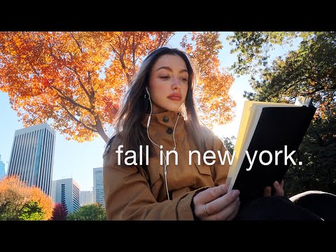a cozy fall day in new york ☕️