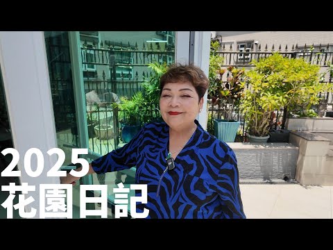 見好天就去睇睇花園