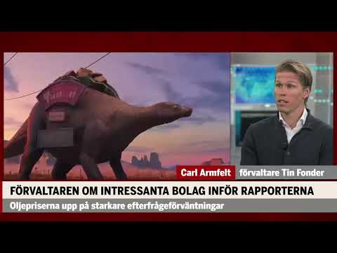 Förvaltarens intressanta aktier inför rapportperioden: "Gör rätt saker"