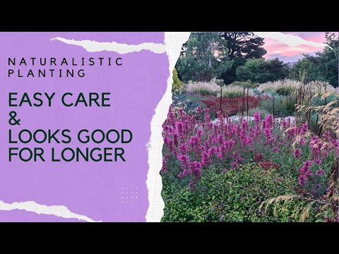 Naturalistic planting design - how to get it right in your own garden