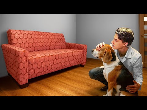 РЕАКЦИЯ СОБАКИ НА ДИВАН ИЗ КОЛБАСЫ!