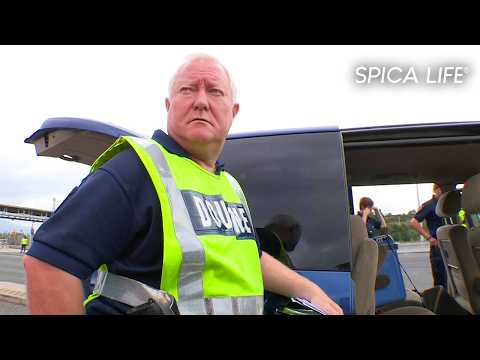 Trafic, go-fast et contrebande : frontières françaises en alerte