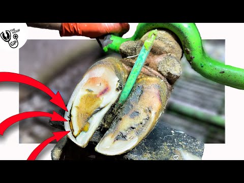 you just NEVER know ... how deep these cracks go!!!