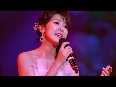 陈佳纽约演唱会（高清完整版）