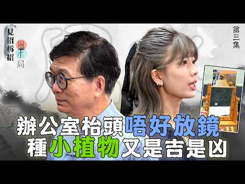 見招拆招風水局 ｜EP3 PT1 ｜ 辦公室枱頭唔好放鏡？種小植物又是吉是凶？ ｜ 風水 ｜ 風水佈局 ｜ 玄學 ｜ 楊天命 ｜ 蔣匡文 ｜ 鄺偉雄 ｜ 鄺芷凡 ｜ HOY TV