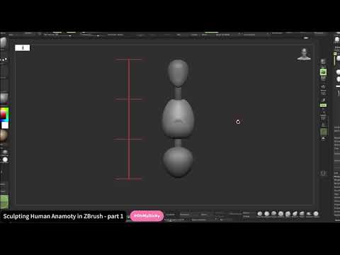 Sculpt Human Anatomy in ZBrush - Part 1