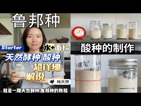 美食教程｜鲁邦种制作 超详细解说 学会判断和耐心都重要 天然酵母的活力和商业酵母是完全不一样的